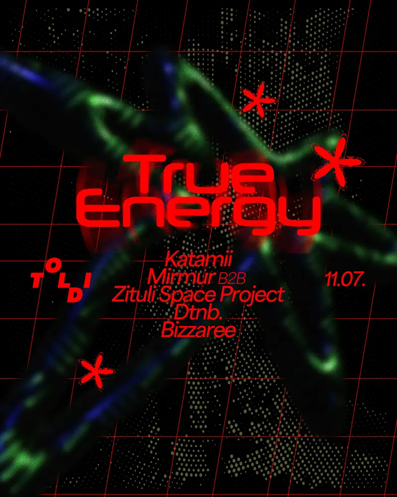 True Energy // TOLDI